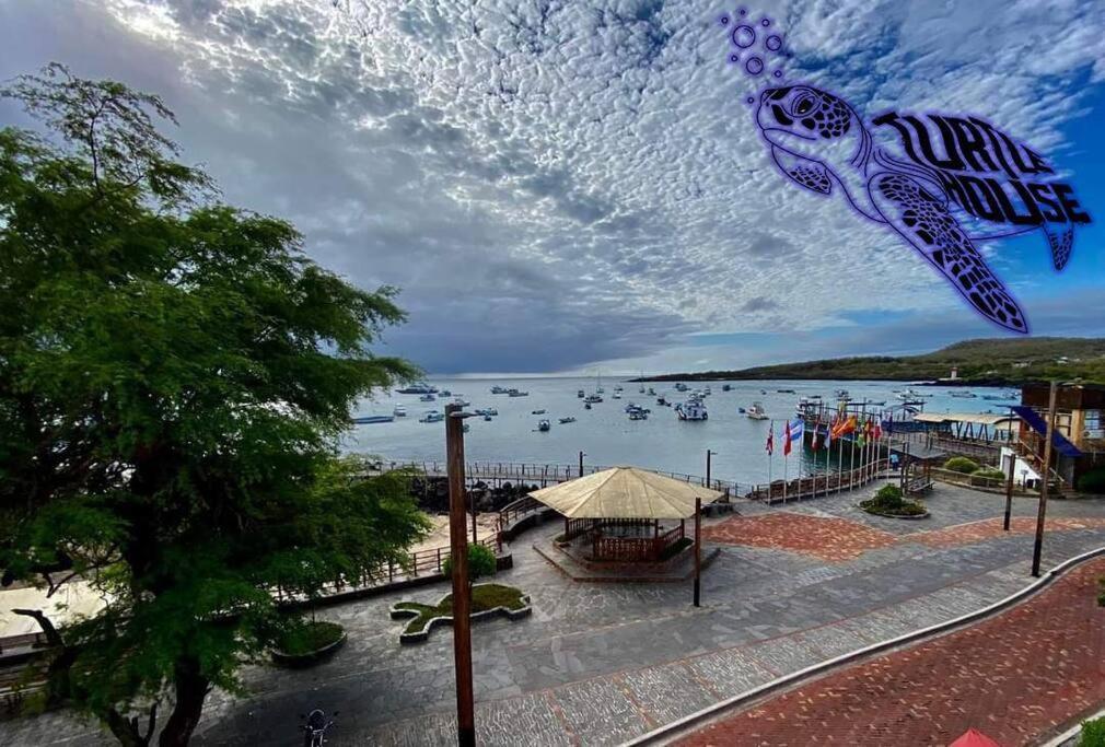 Апартаменты Tortuga House Пуэрто-Бакерисо-Морено Экстерьер фото